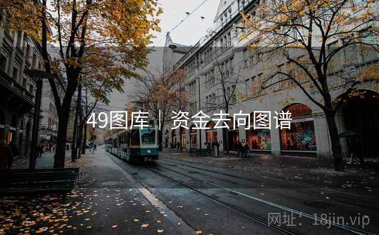 49图库｜资金去向图谱