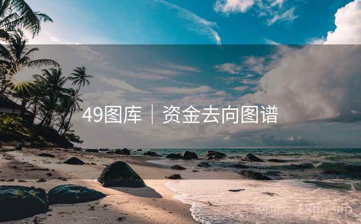 49图库｜资金去向图谱